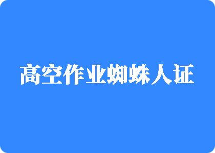 美女午夜操逼了高空作业蜘蛛人证